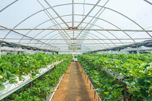 Why test soil pH online? How much does water content affect sensor detection?