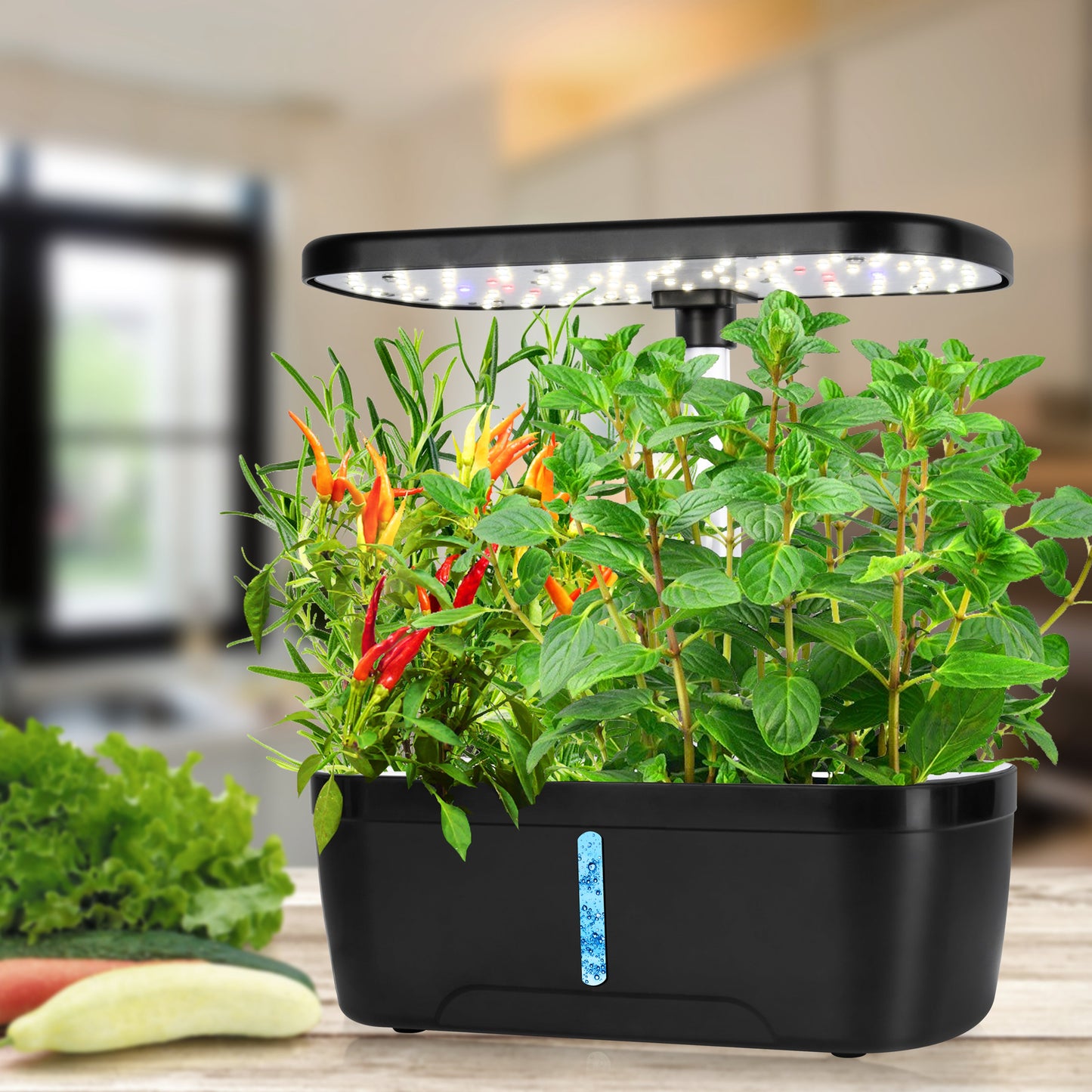 6-Pod Smart Hydroponic Garden Kit for Home Use Yieryi