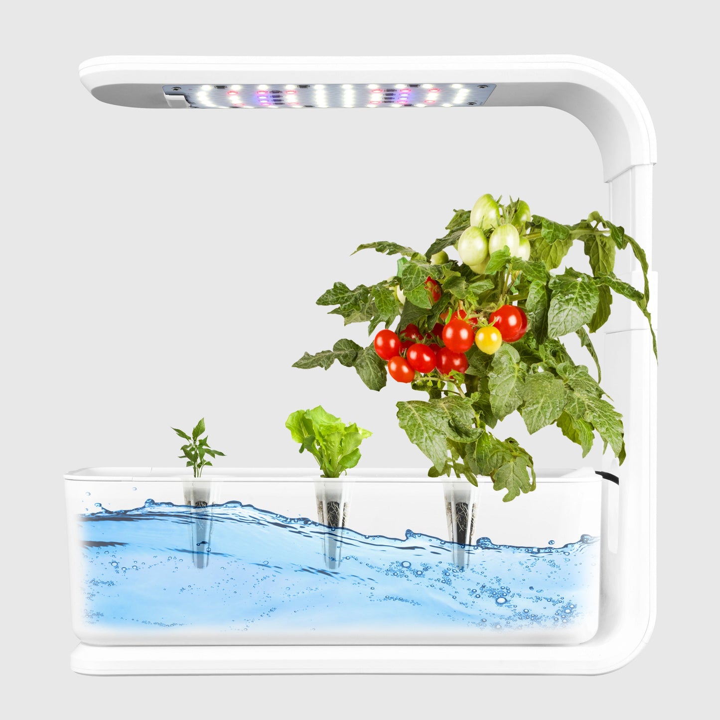 3-Pod Smart Indoor Hydroponic Garden for Herbs Yieryi