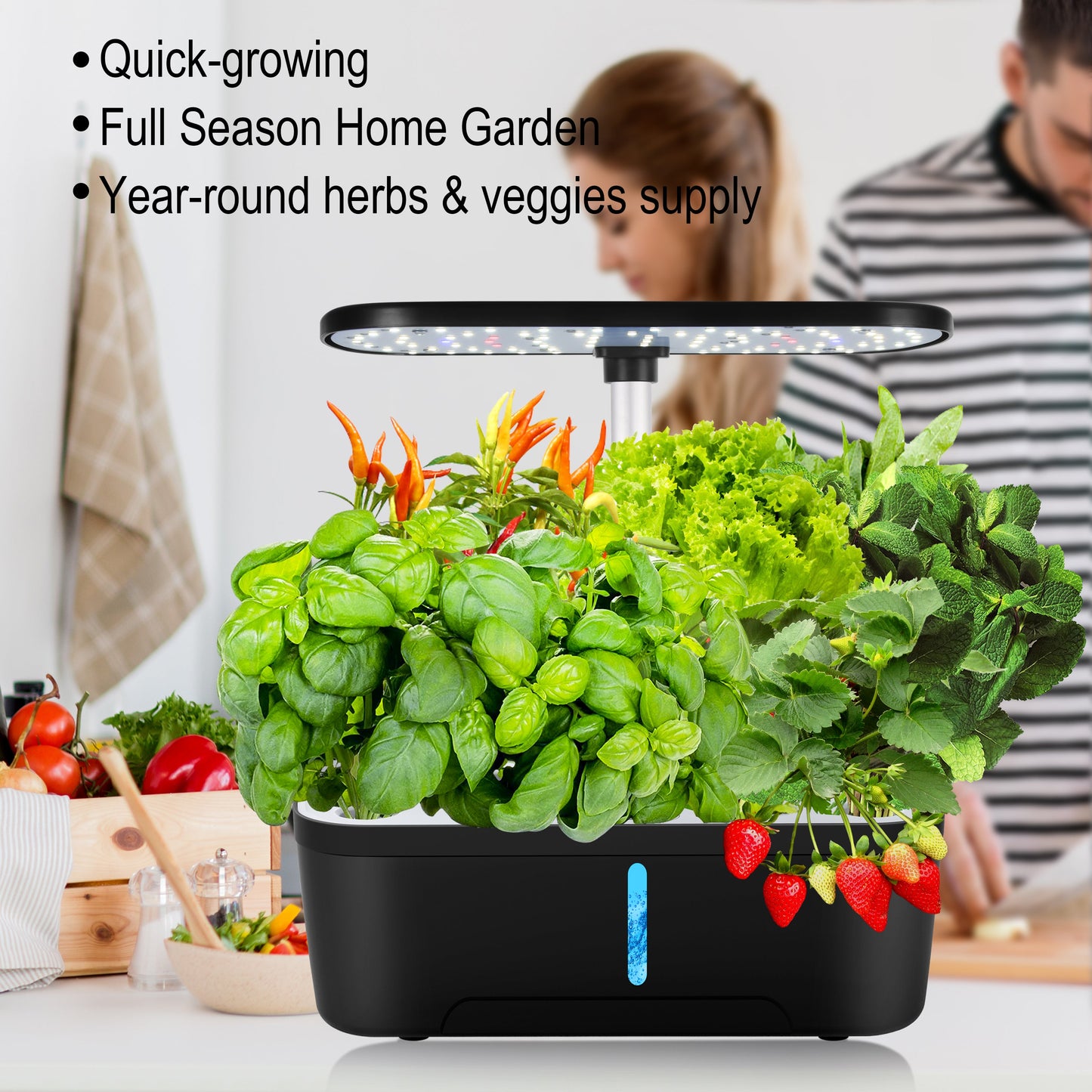 6-Pod Smart Hydroponic Garden Kit for Home Use Yieryi