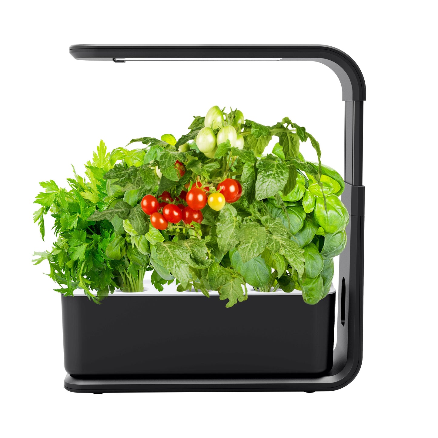 3-Pod Smart Indoor Hydroponic Garden for Herbs Yieryi