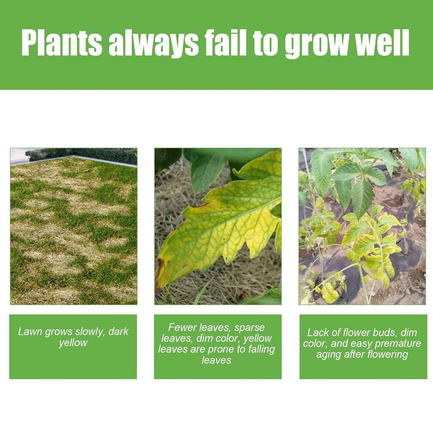30G Plant Growth Booster β Solid Organic Fertilizer Yieryi