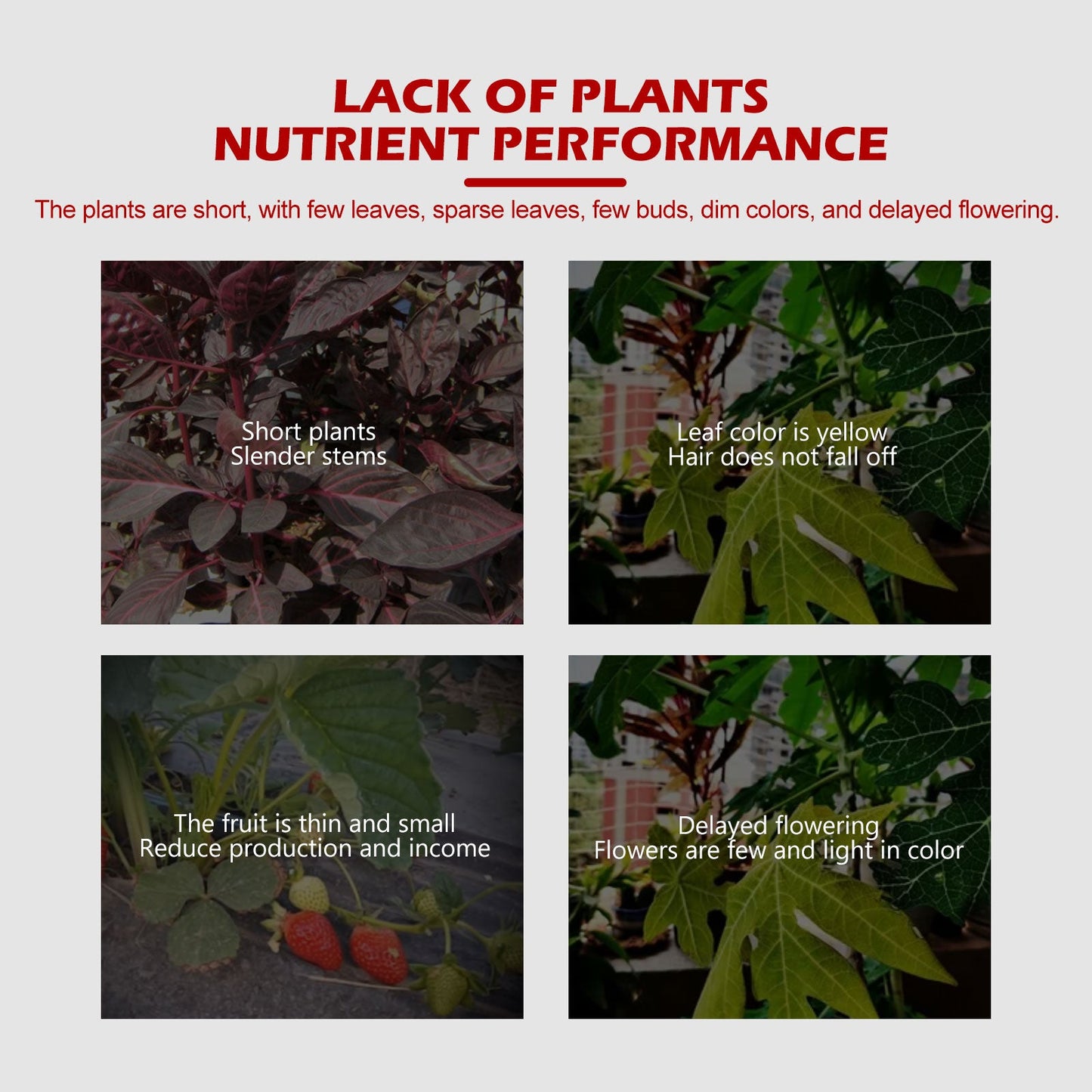 Slow-Release Plant Tablets – Boost Roots & Growth Yieryi