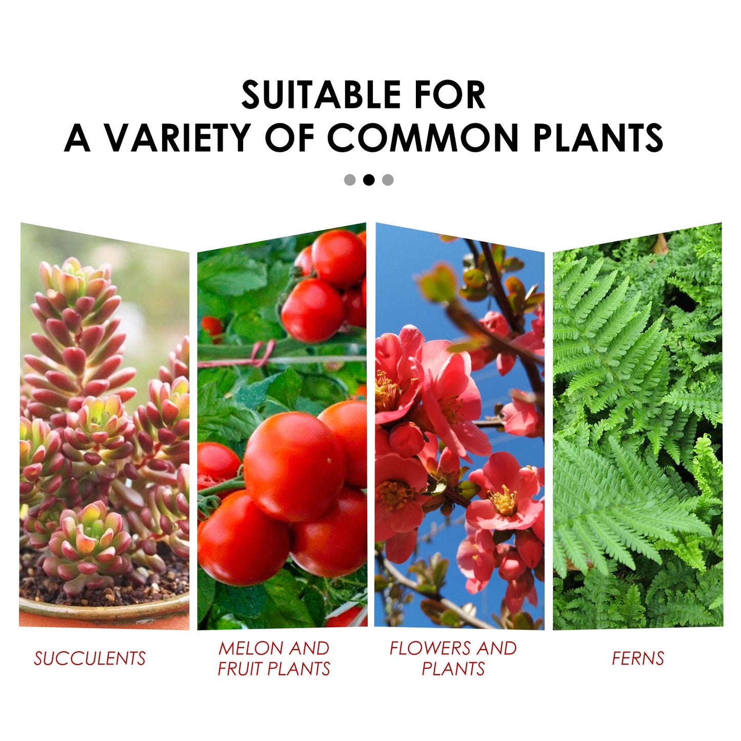 Slow-Release Plant Tablets – Boost Roots & Growth Yieryi