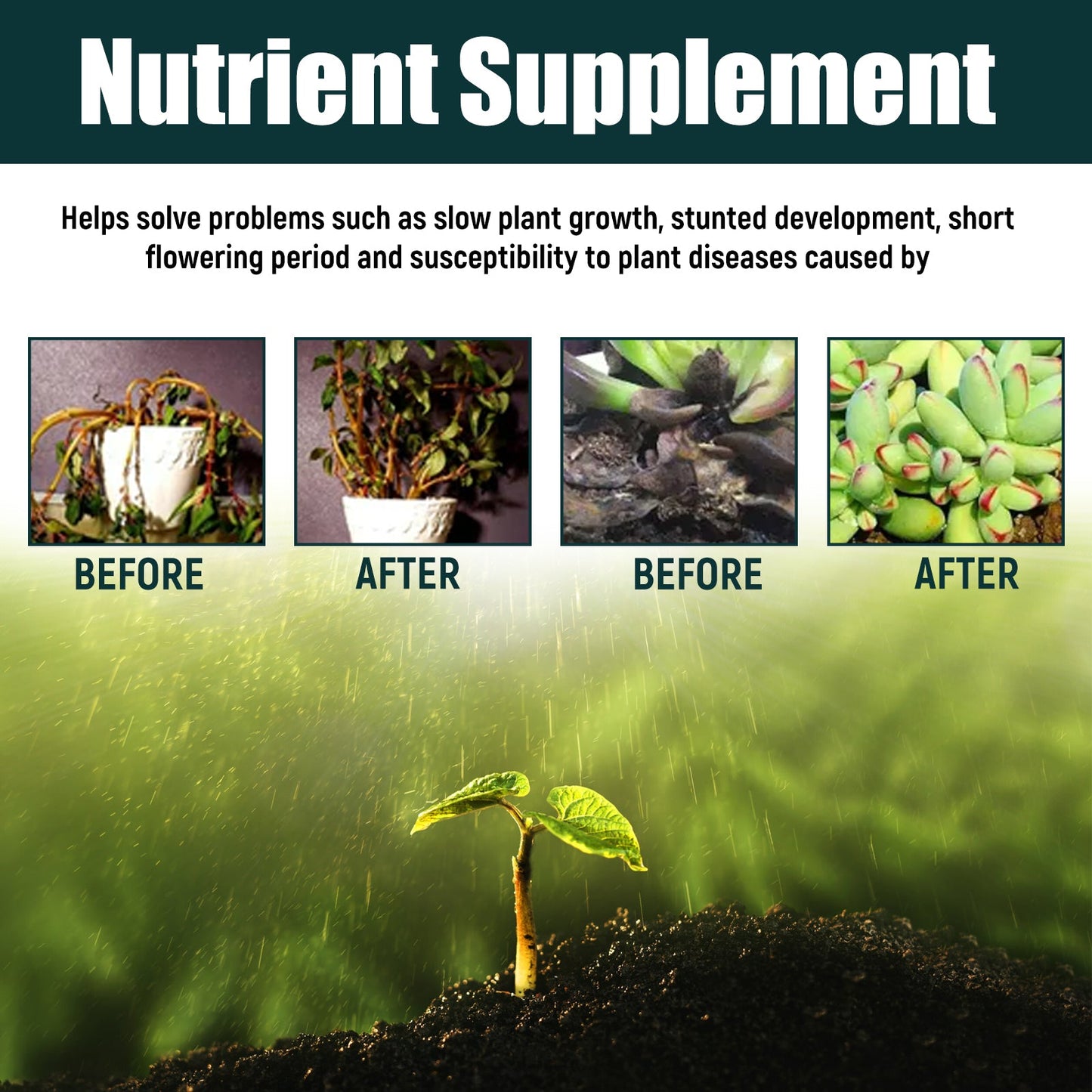 30ML Organic Plant Supplement β For Flowers & Lawn Yieryi
