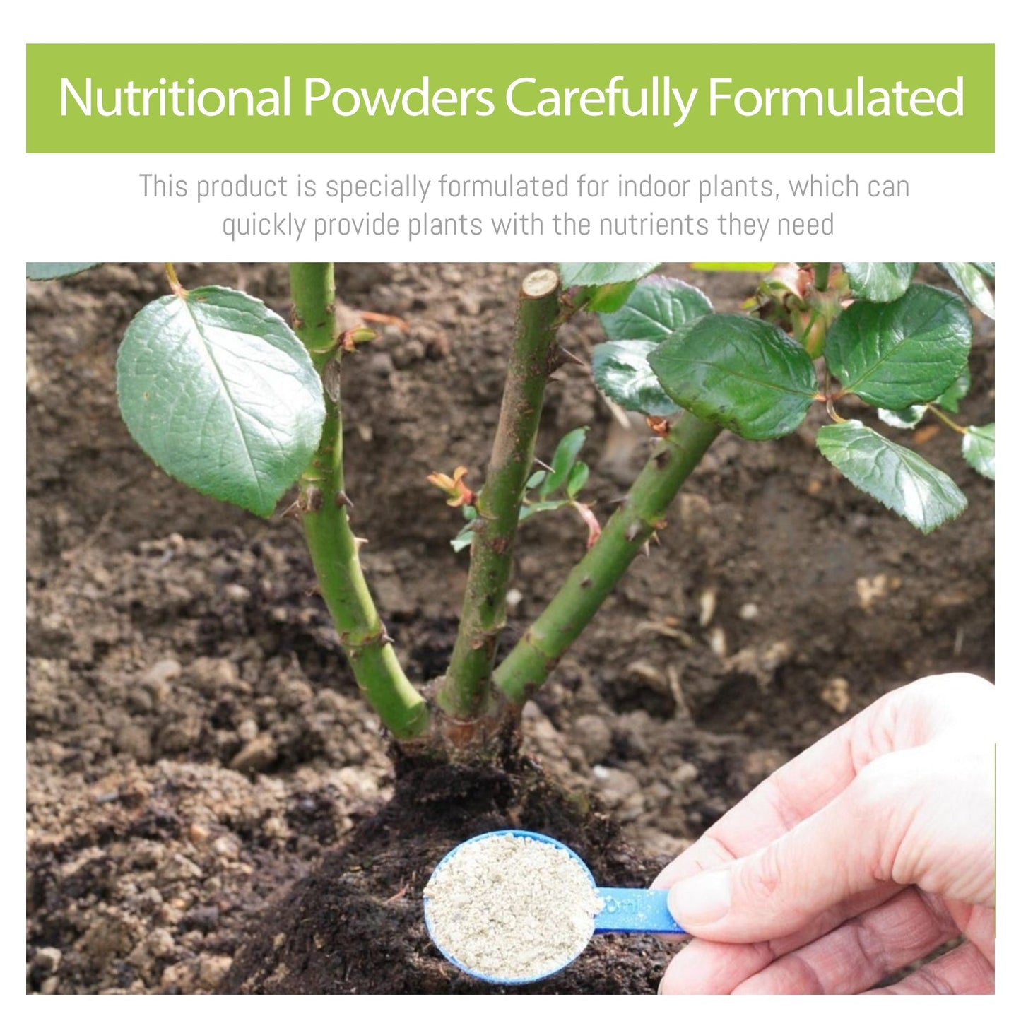 All-Natural Plant Nutrient Powder – Growth Booster Yieryi