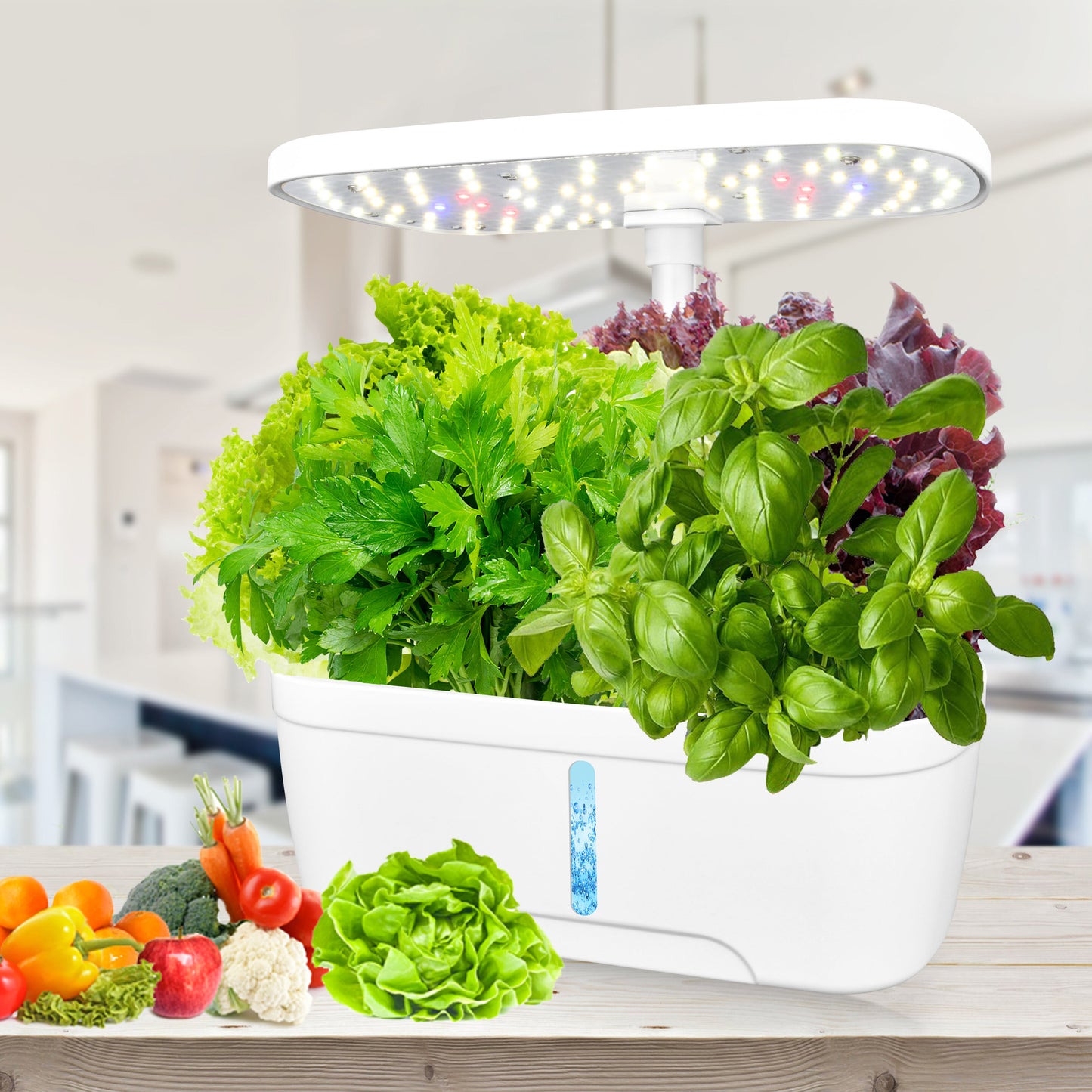 6-Pod Smart Hydroponic Garden Kit for Home Use Yieryi