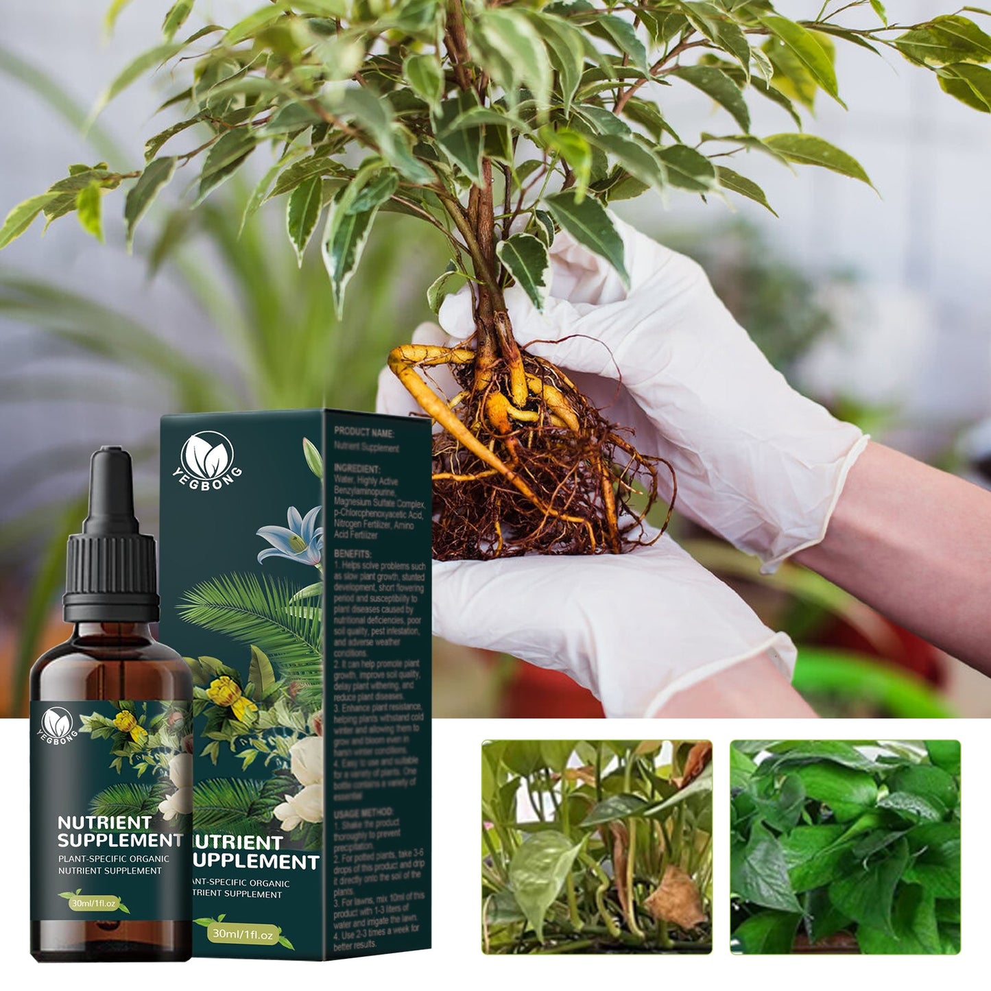 30ML Organic Plant Supplement β For Flowers & Lawn Yieryi