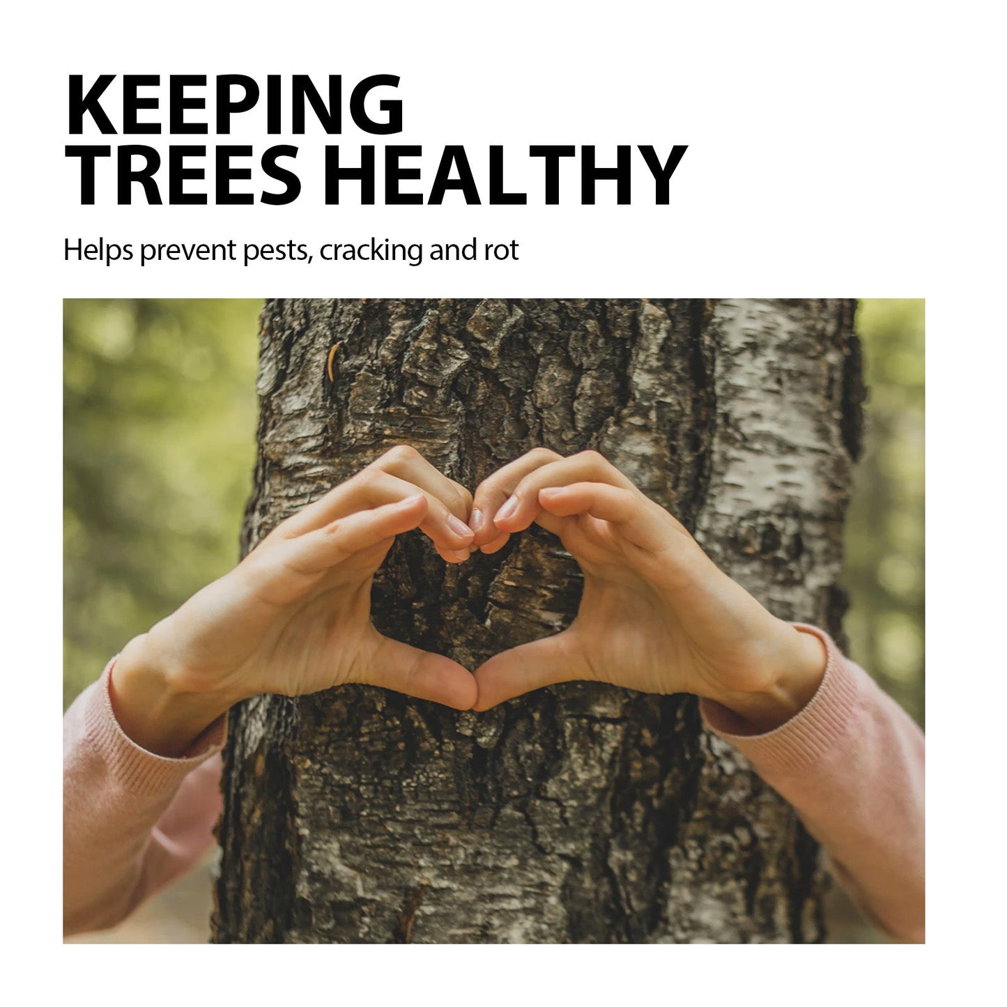 Tree Wound Dressing 100g β Organic Healing Paste Yieryi