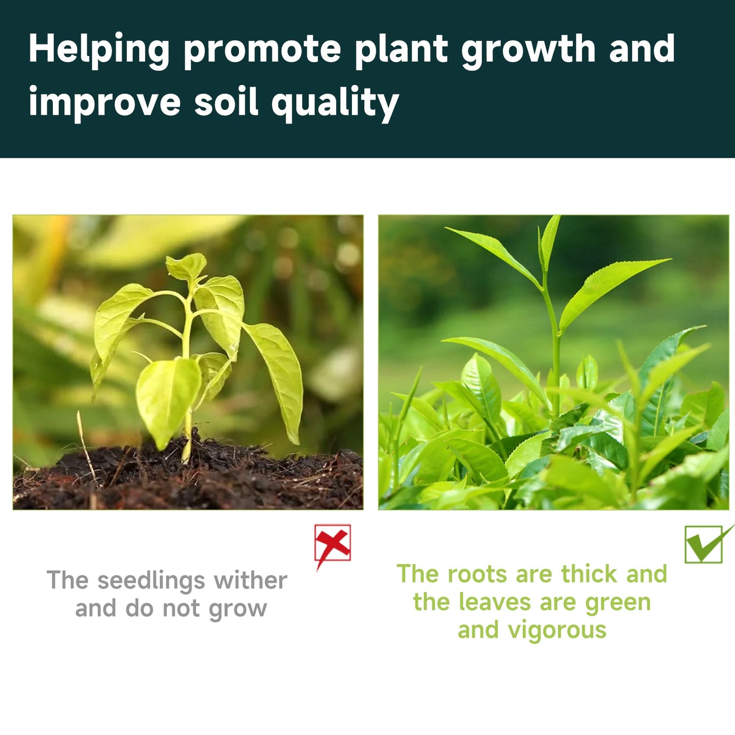 30ML Organic Plant Supplement β For Flowers & Lawn Yieryi