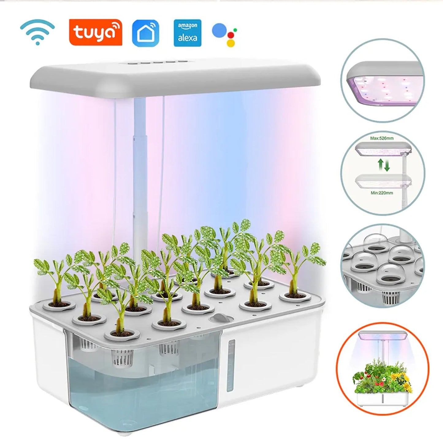 YIERYI Smart Hydroponics Growing System, Plant Hydroponic Machine, Flowers&Vegetables Seediing Planter Yieryi