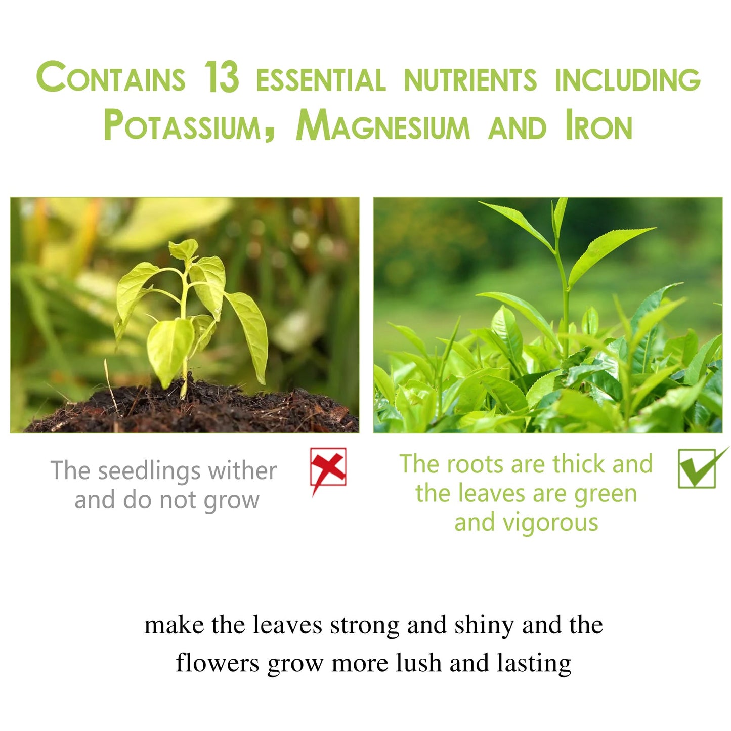 All-Natural Plant Nutrient Powder – Growth Booster Yieryi