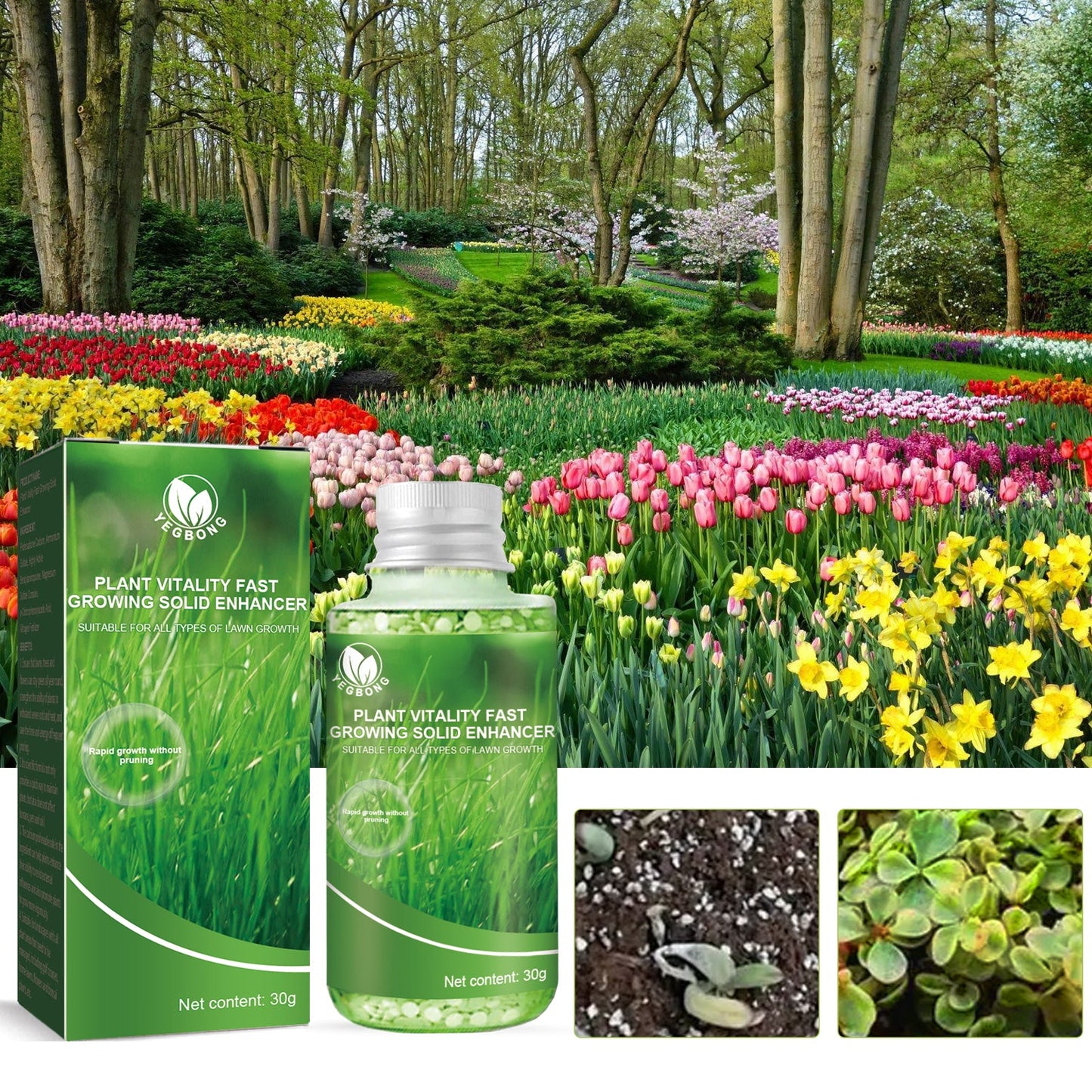 30G Plant Growth Booster β Solid Organic Fertilizer Yieryi
