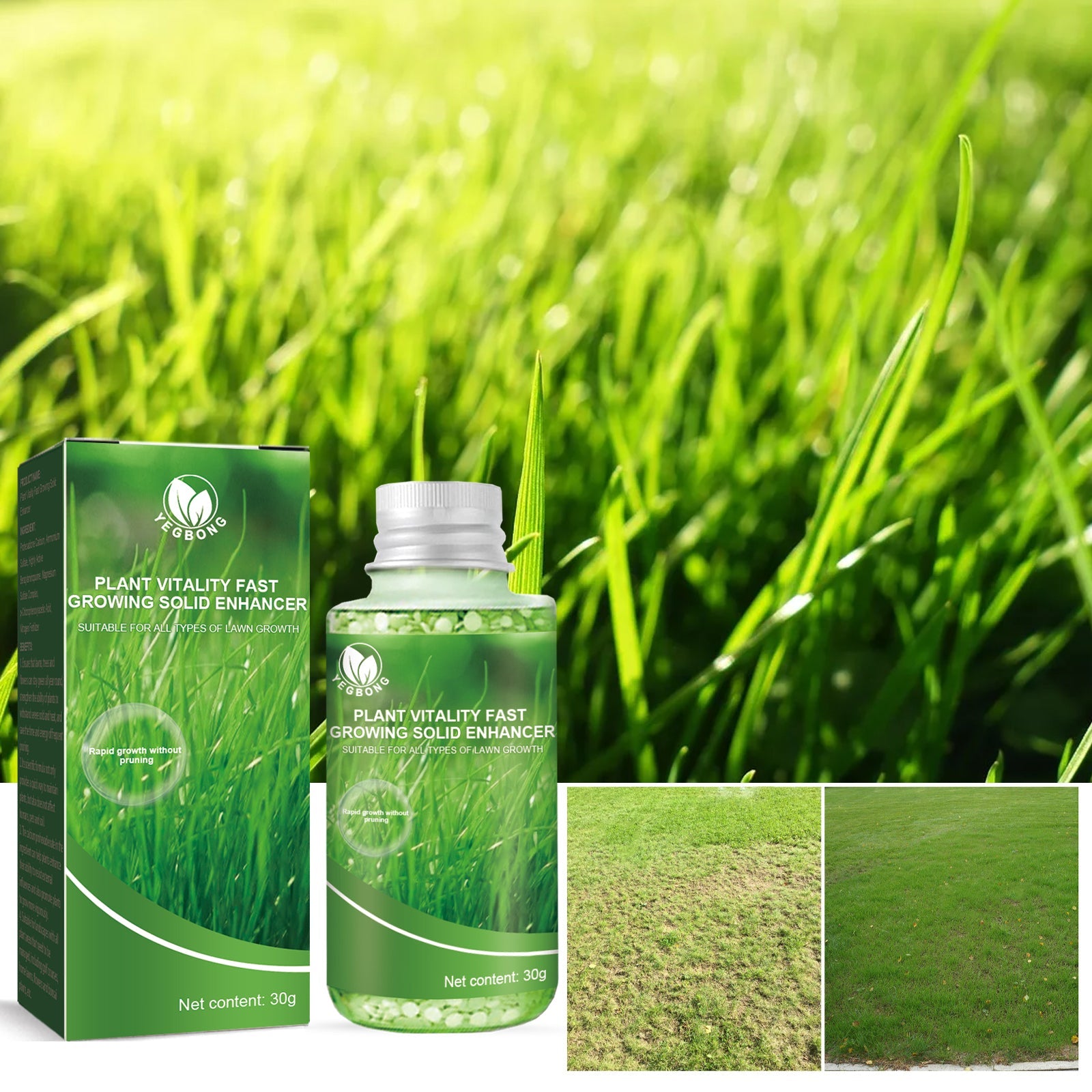 30G Plant Growth Booster β Solid Organic Fertilizer Yieryi