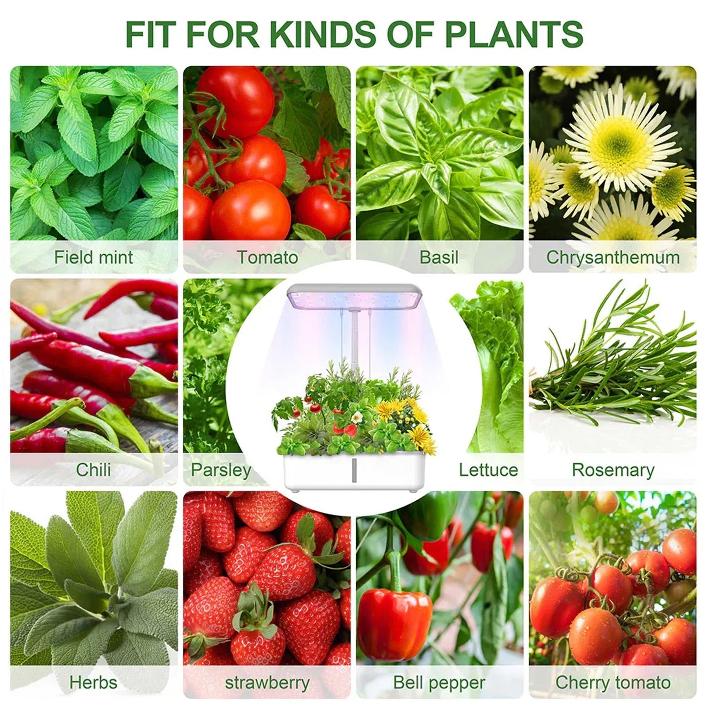 YIERYI Smart Hydroponics Growing System, Plant Hydroponic Machine, Flowers&Vegetables Seediing Planter Yieryi
