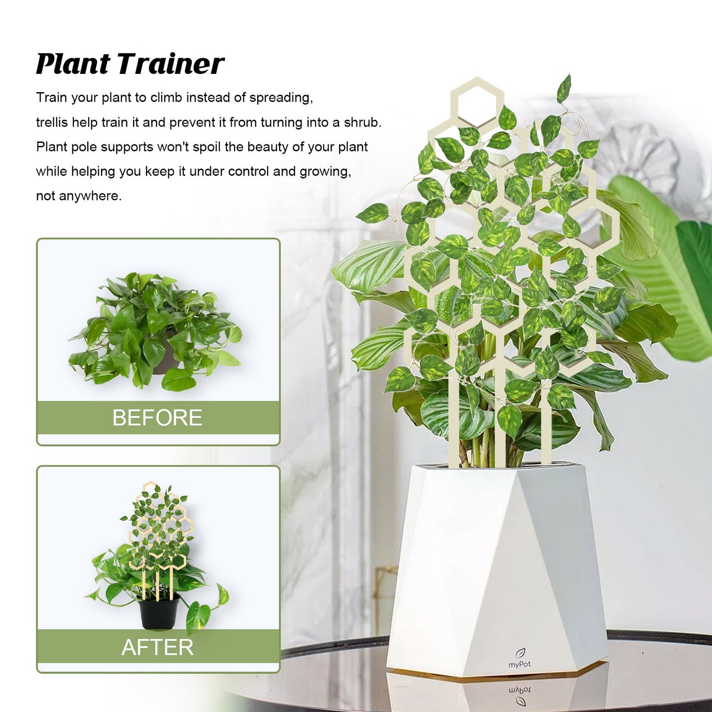Honeycomb Plant Bracket Set β 3PCS Vertical Support Yieryi