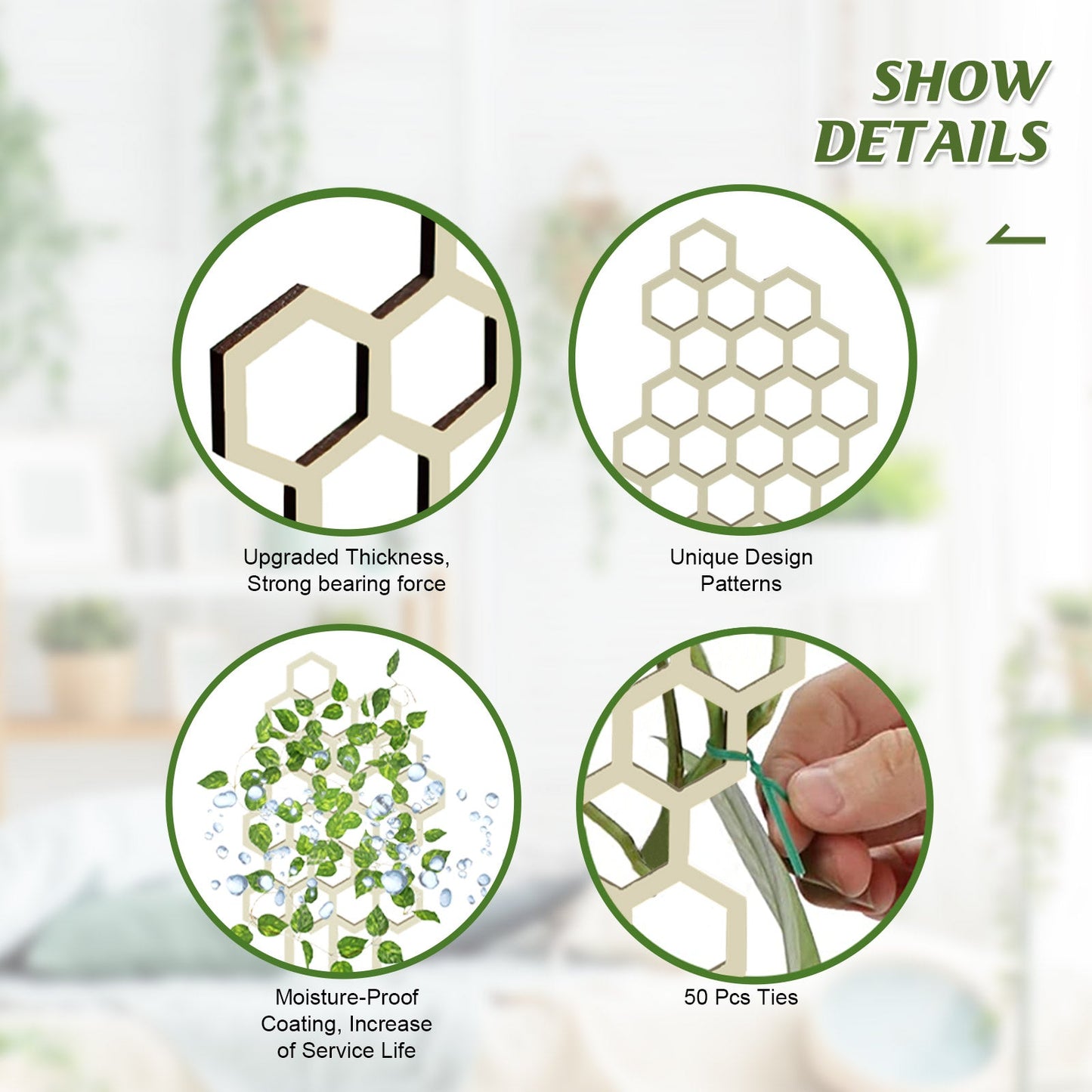 Honeycomb Plant Bracket Set β 3PCS Vertical Support Yieryi