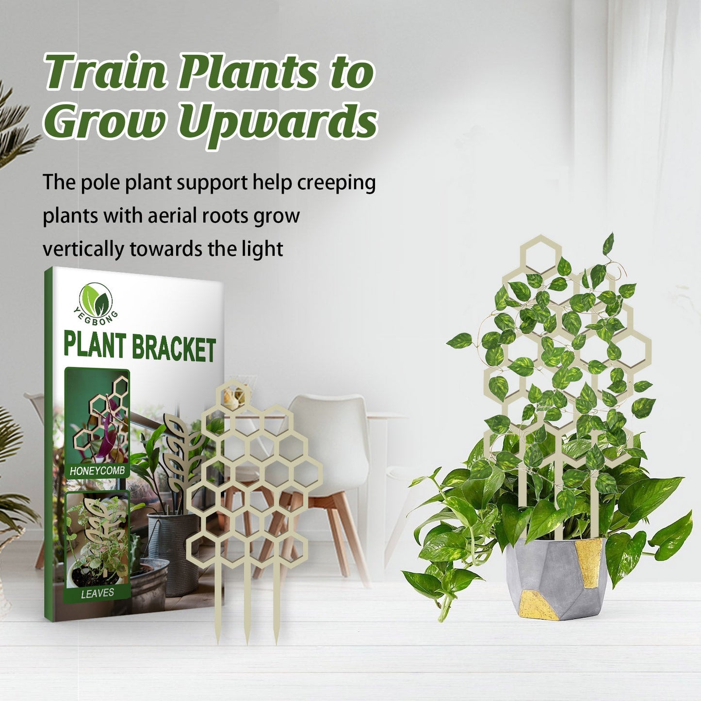 Honeycomb Plant Bracket Set β 3PCS Vertical Support Yieryi