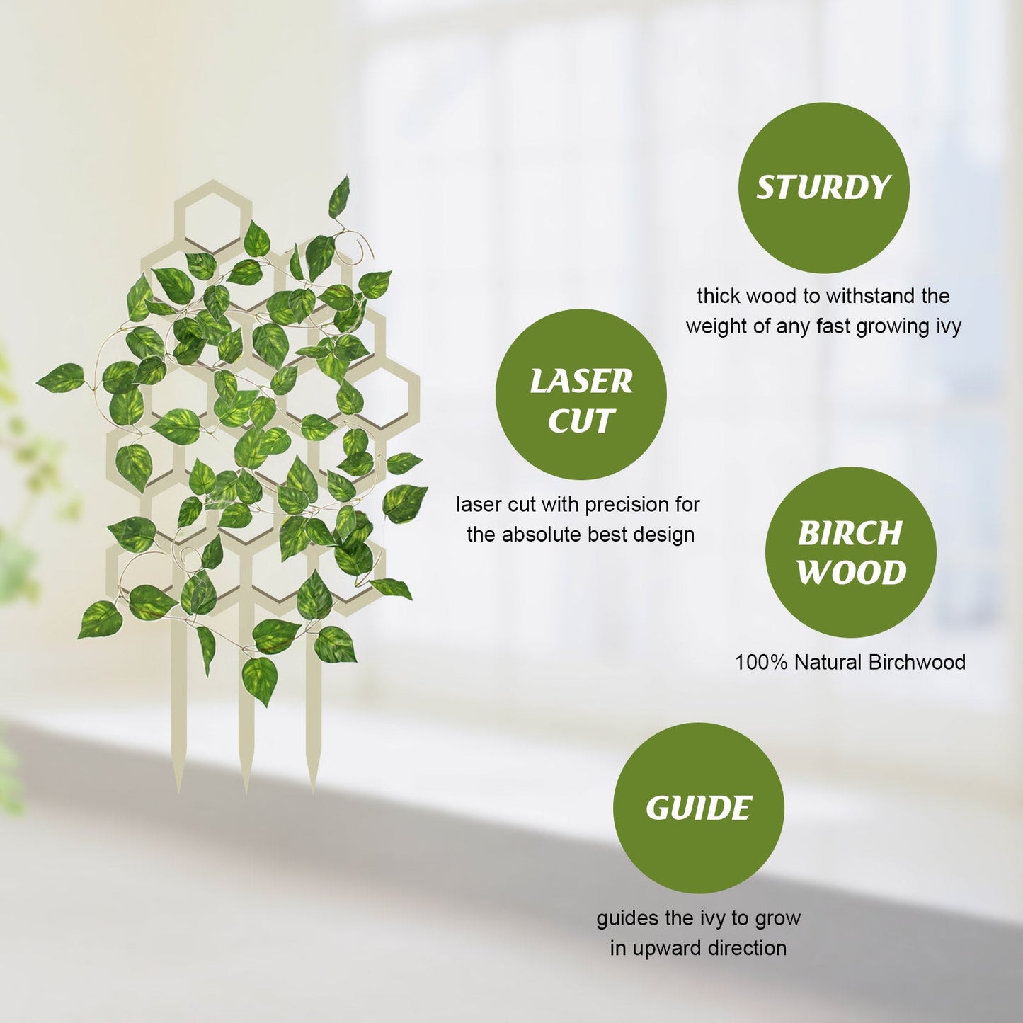 Honeycomb Plant Bracket Set β 3PCS Vertical Support Yieryi