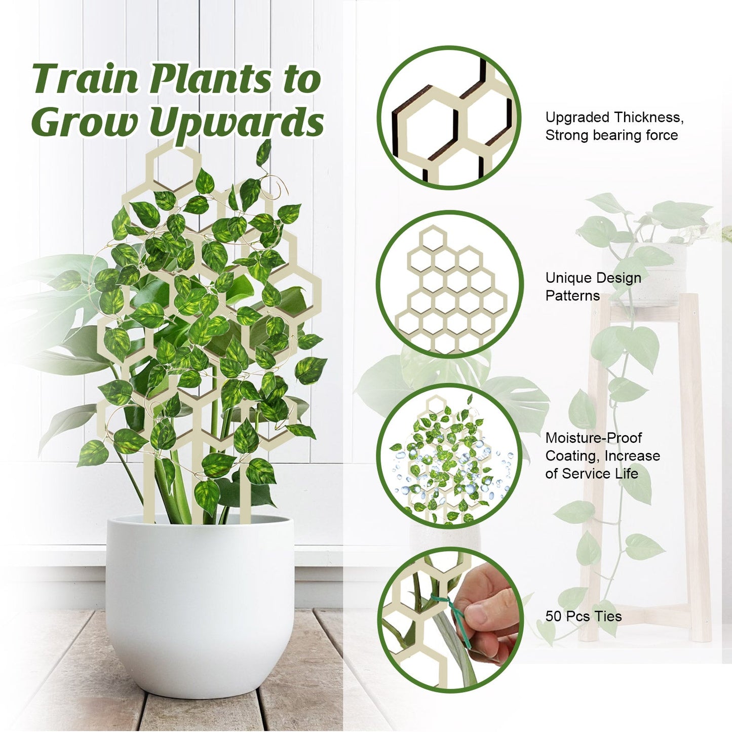 Honeycomb Plant Bracket Set β 3PCS Vertical Support Yieryi