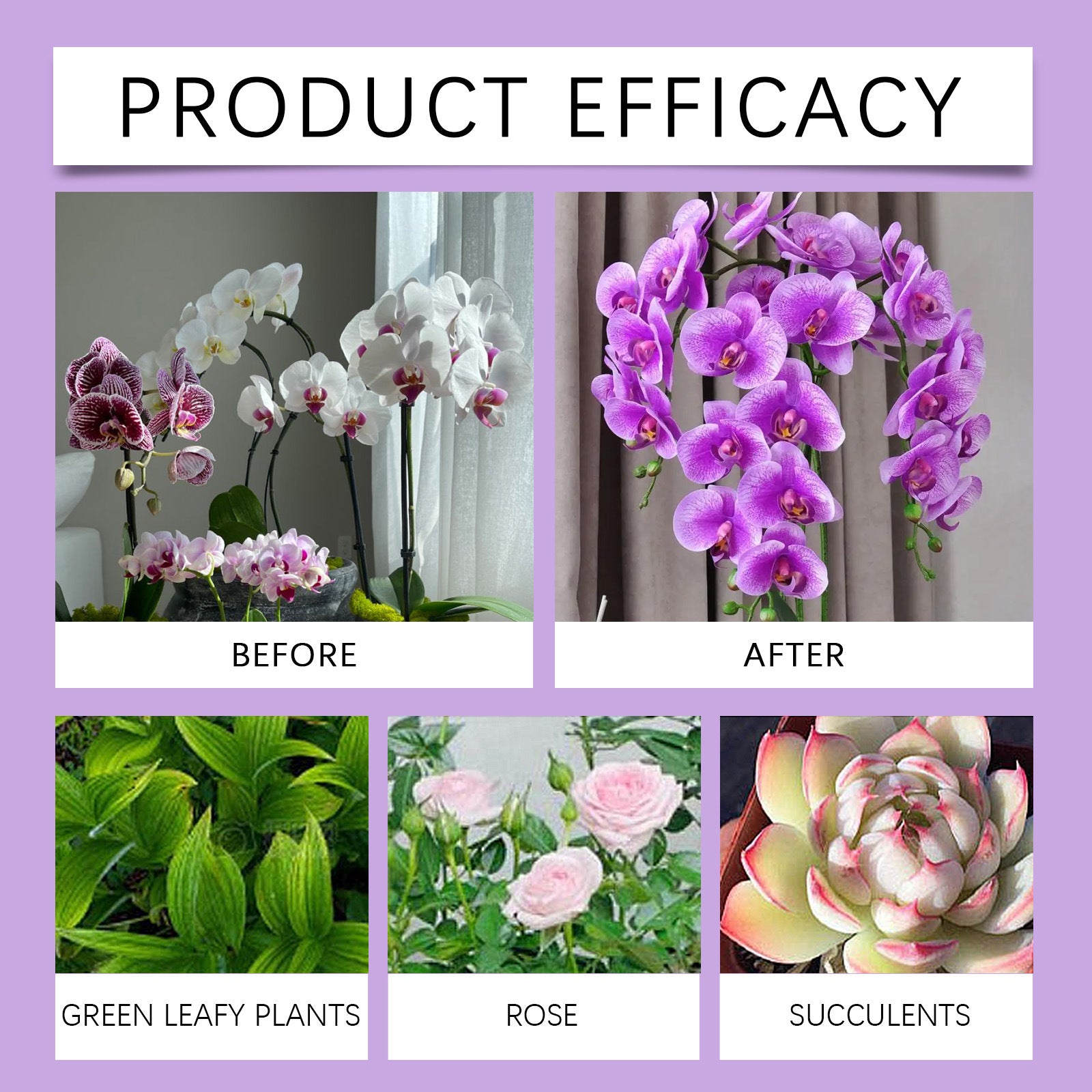 Orchid Fertilizer โ Boost Growth & Bloom Health Yieryi