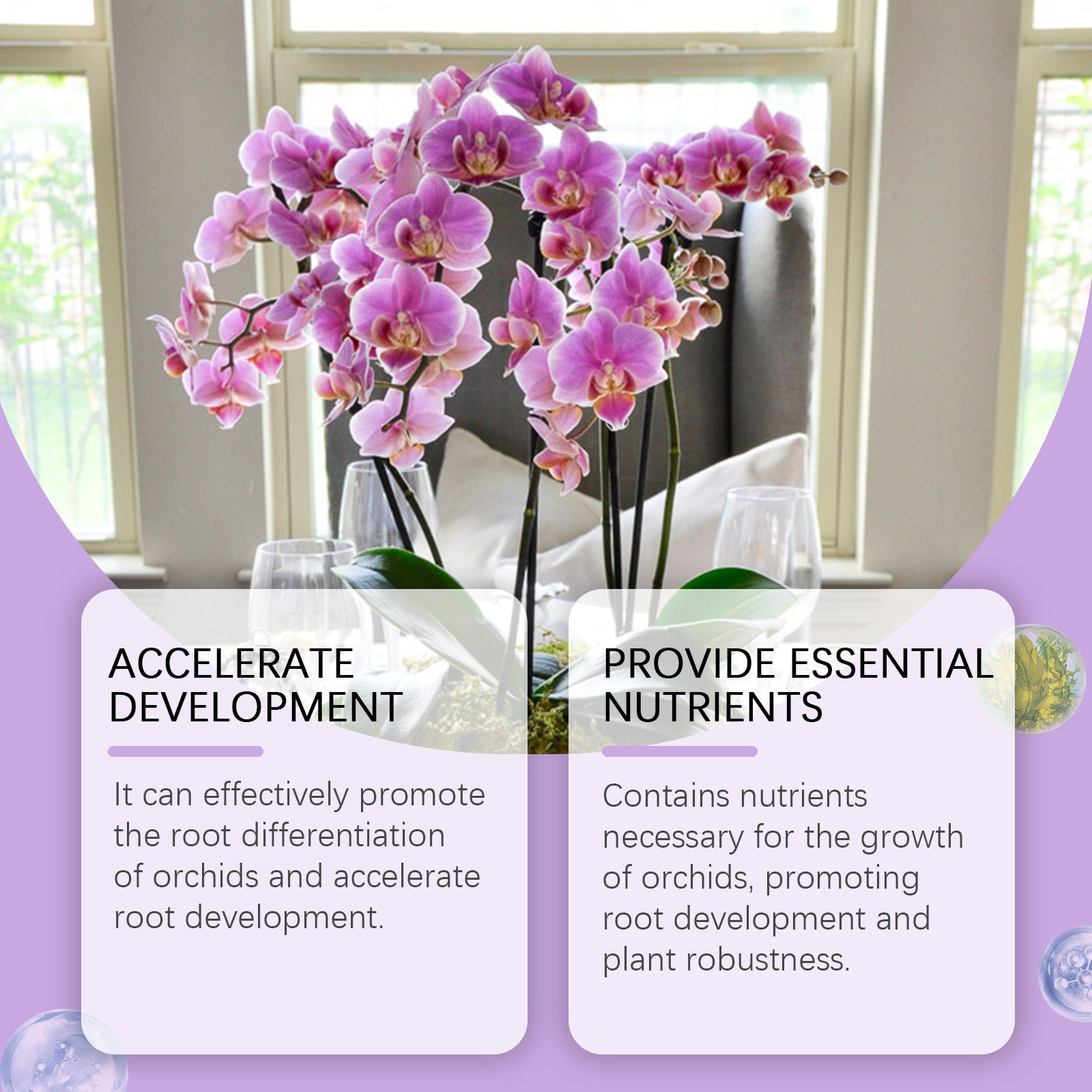 Orchid Fertilizer โ Boost Growth & Bloom Health Yieryi