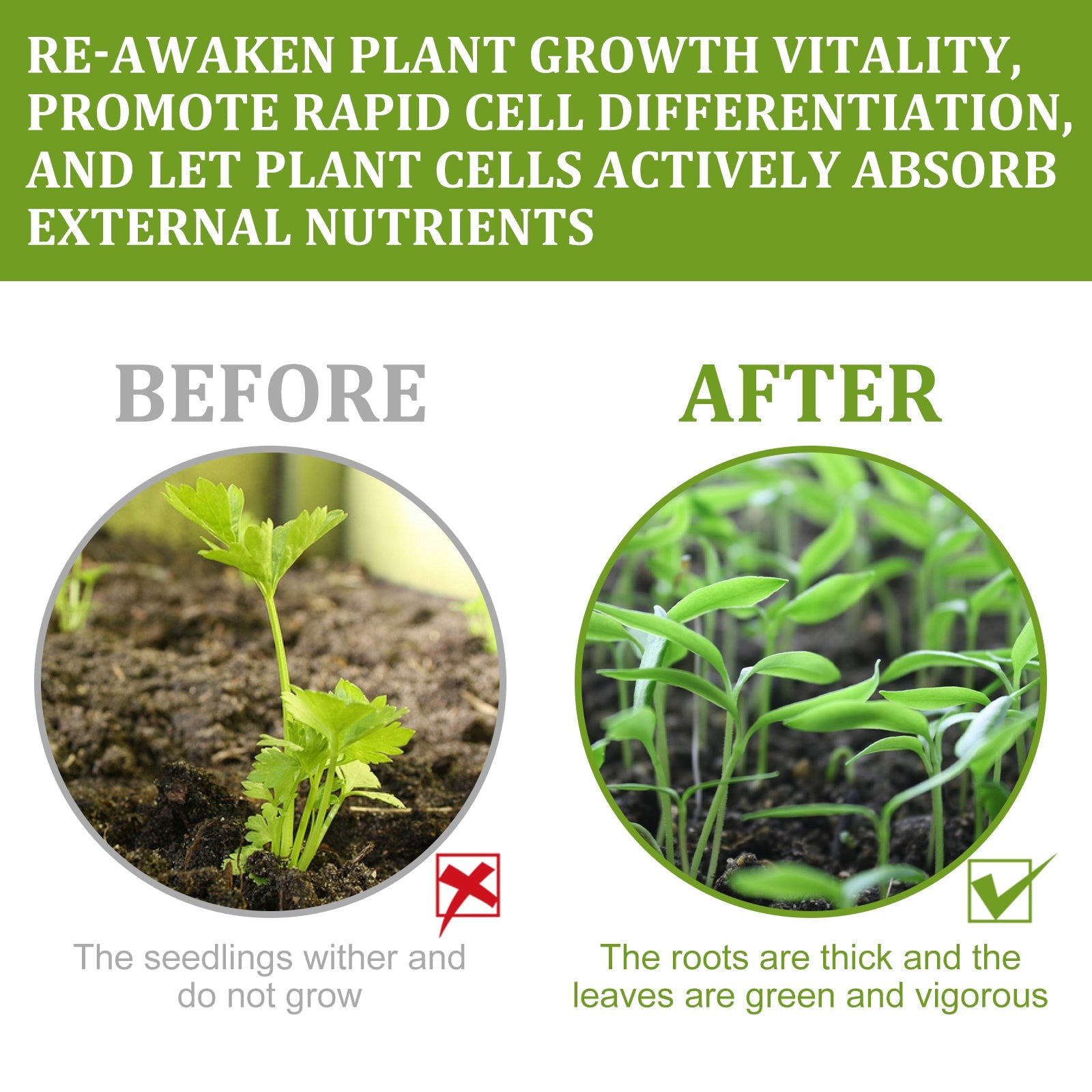 50ML Organic Root Booster β Plant Growth Enhancer Yieryi