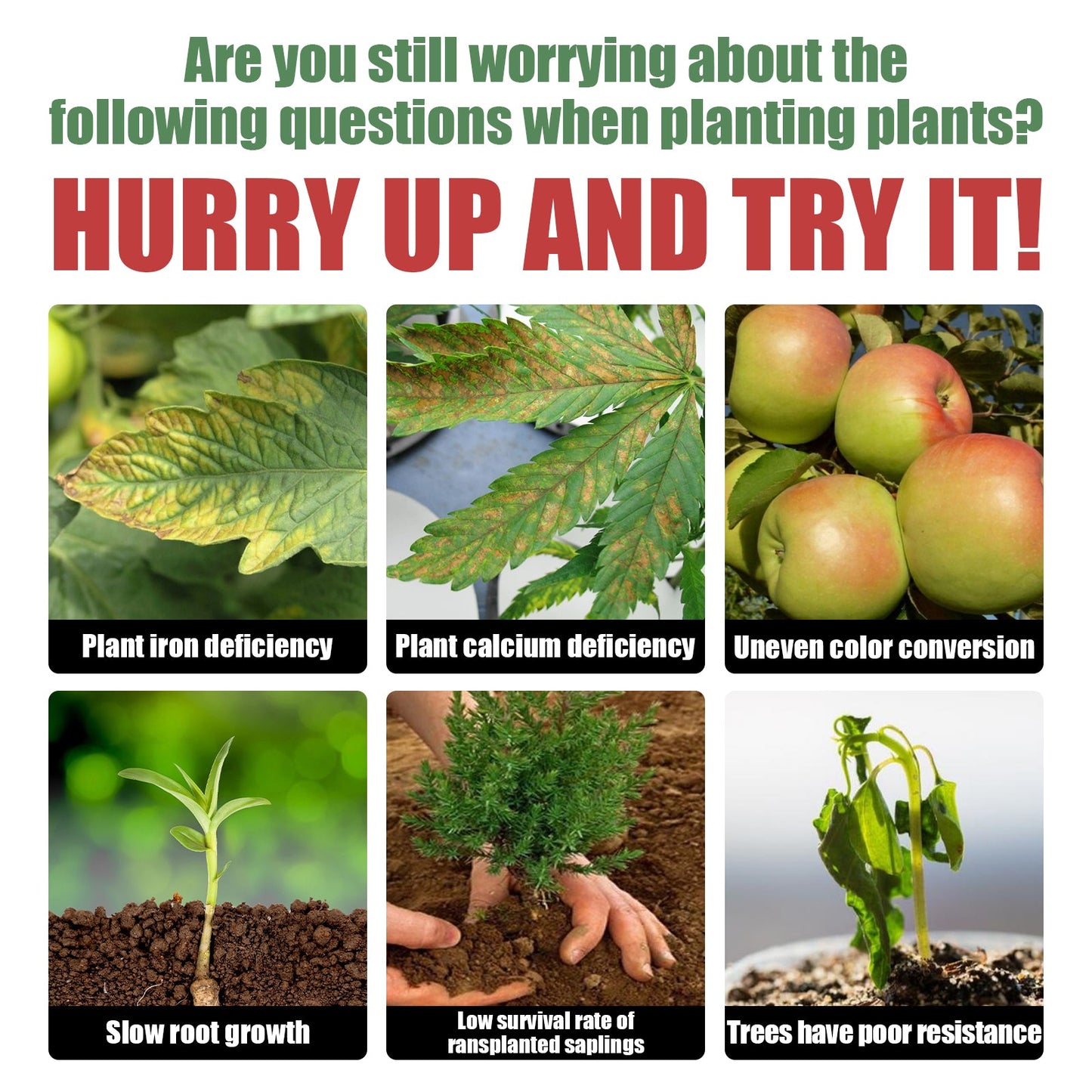 Plant Growth Tablets β Slow-Release Root Booster Yieryi