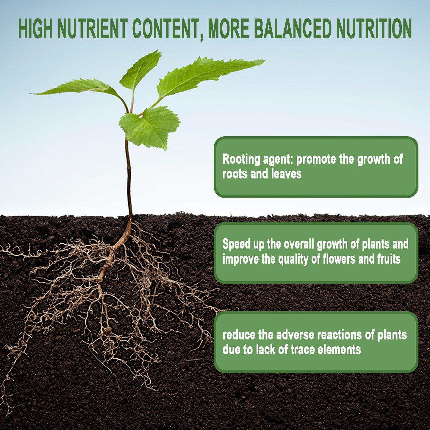 Plant Growth Tablets β Slow-Release Root Booster Yieryi