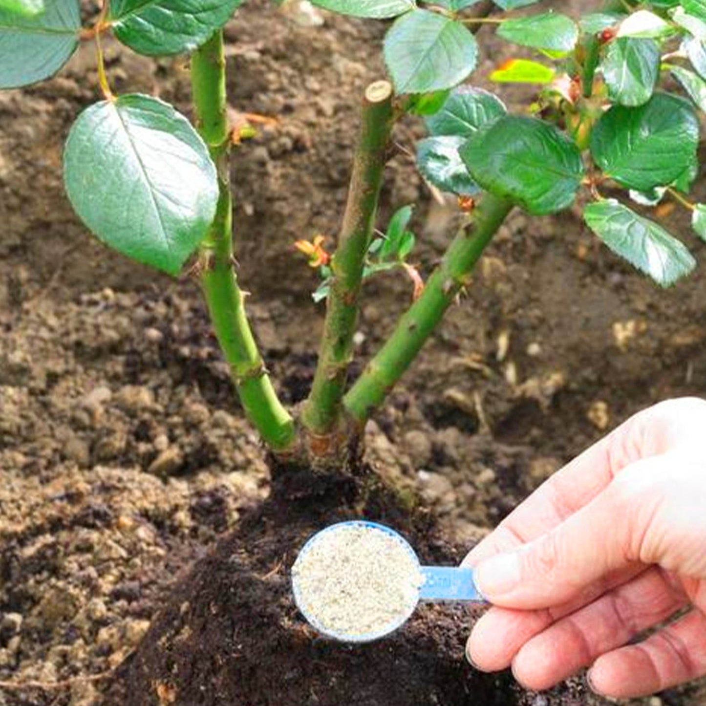 Plant Growth Tablets β Slow-Release Root Booster Yieryi
