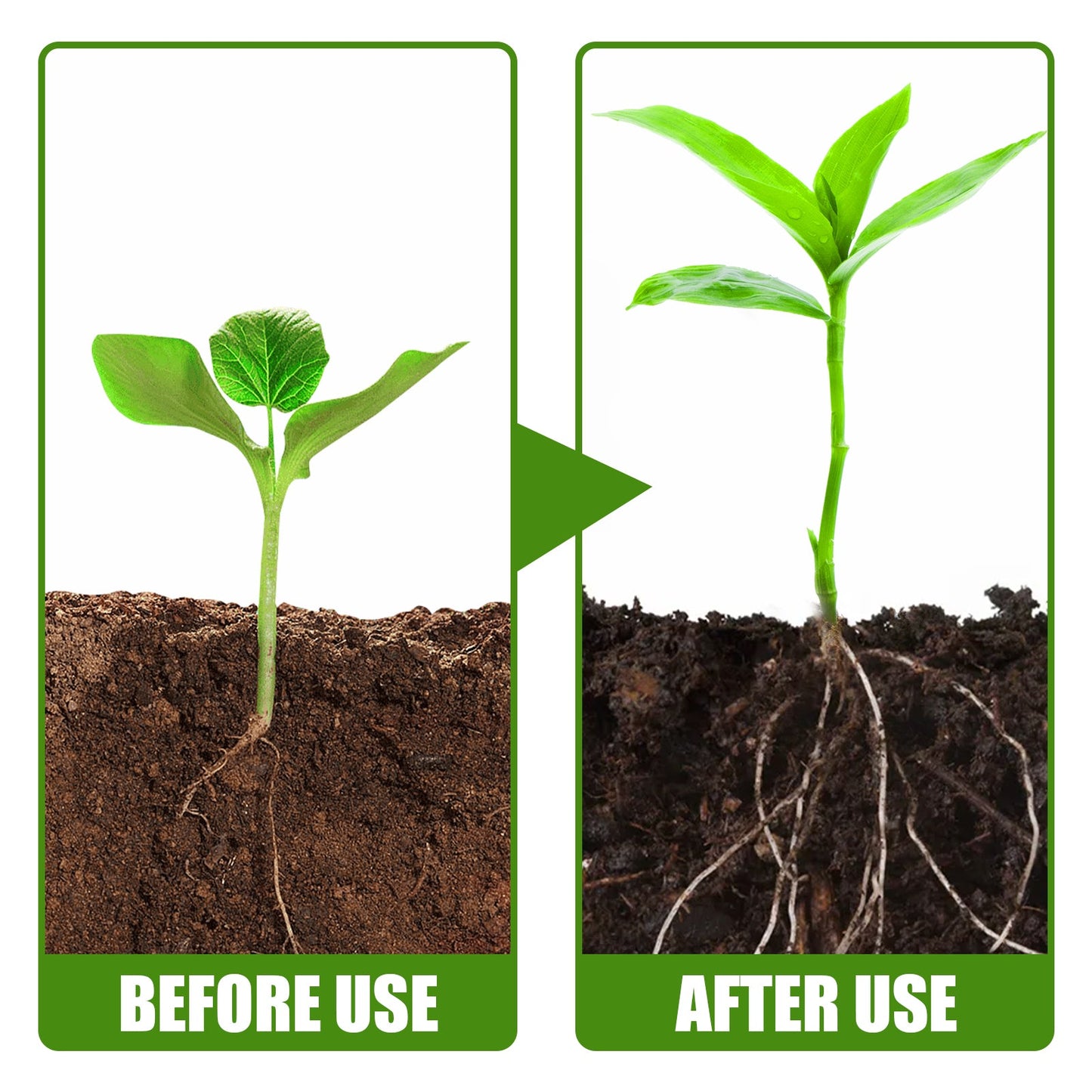 Plant Growth Tablets β Slow-Release Root Booster Yieryi