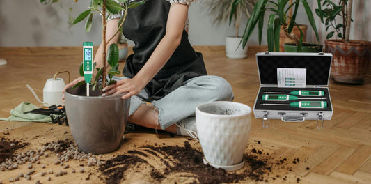 Slow Gardening Meets Smart Soil: Elevate Your Backyard Bloom Game with Digital NPK Testing