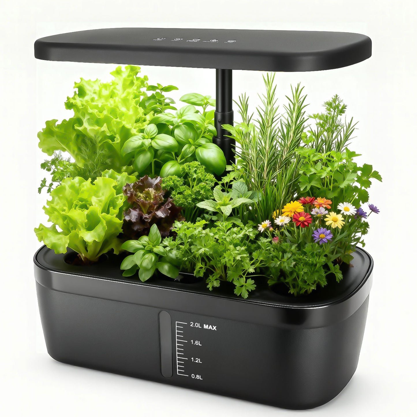 6 Pods Hydroponics Growing System with 2L Large Water Tank & A/B Nutrient Solution Indoor Herb Garden Kit Yieryi