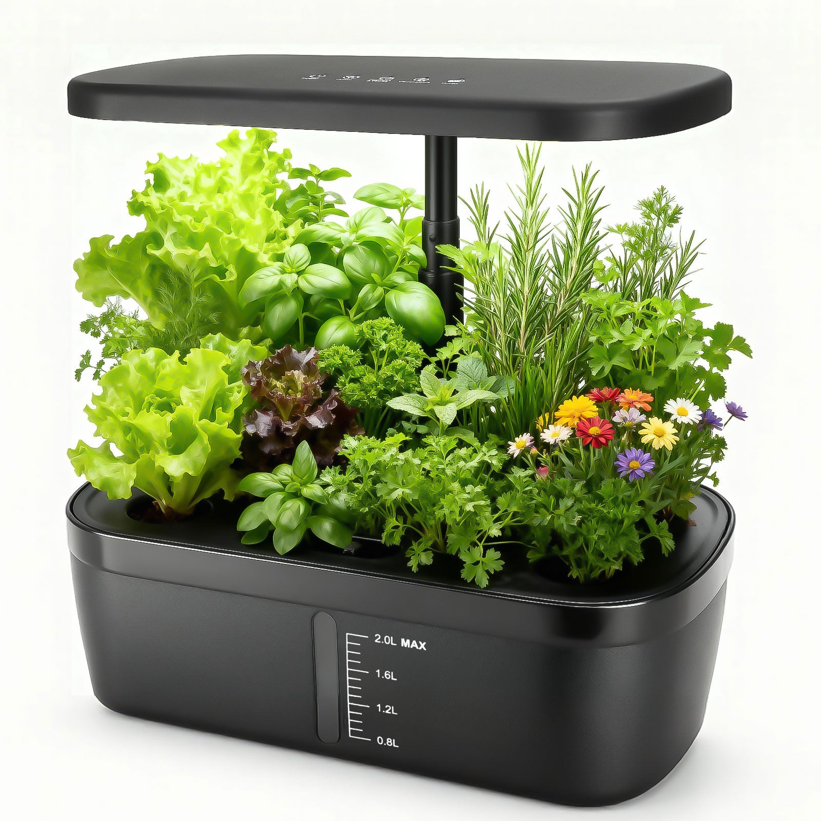 6 Pods Hydroponics Growing System with 2L Large Water Tank & A/B Nutrient Solution Indoor Herb Garden Kit Yieryi