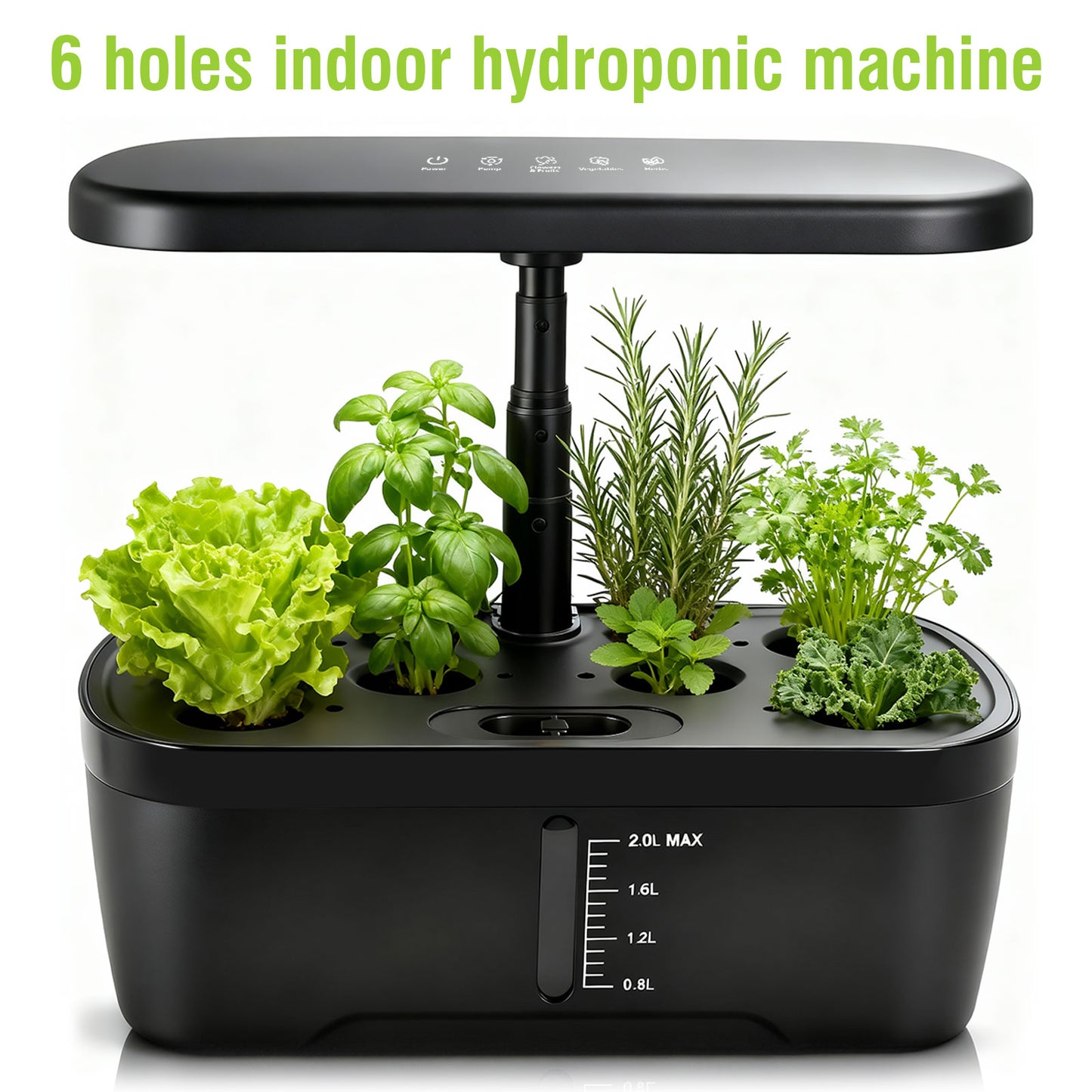 6 Pods Hydroponics Growing System with 2L Large Water Tank & A/B Nutrient Solution Indoor Herb Garden Kit Yieryi