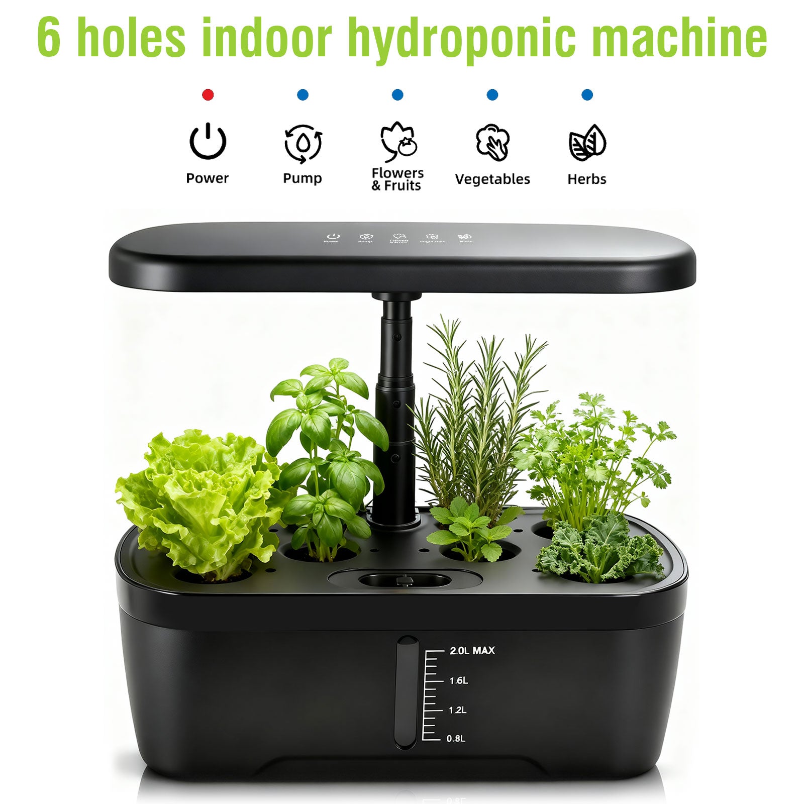 6 Pods Hydroponics Growing System with 2L Large Water Tank & A/B Nutrient Solution Indoor Herb Garden Kit Yieryi