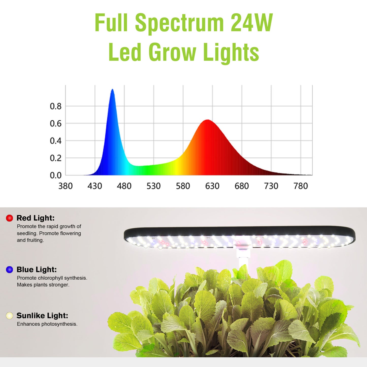 12-Pod Hydroponic System with LCD Screen | Full Spectrum LED Grow Light | Automatic Water Circulation | Indoor Garden for Herbs & Veggies | Adjustable Height & Quiet Operation