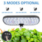 8-Pod Smart Hydroponic Garden Kit – Grow Fresh Herbs & Vegetables Indoors