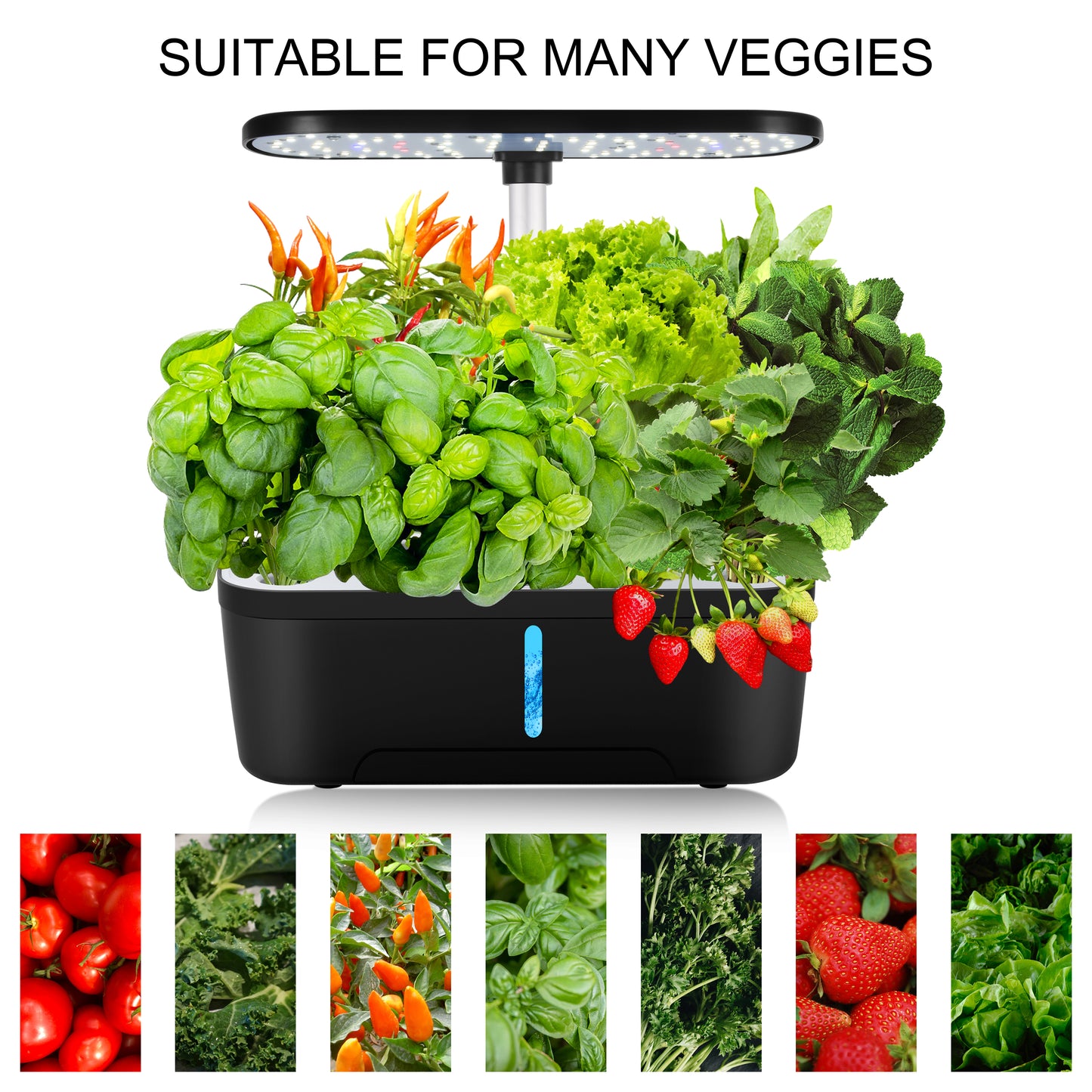 Smart Hydroponic Garden Kit – Grow Fresh Herbs & Vegetables at Home!