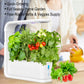 Smart Hydroponic Indoor Garden Kit – Grow Fresh Herbs & Vegetables Year-Round