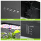 6 Pods Hydroponics Growing System with 2L Large Water Tank & A/B Nutrient Solution Indoor Herb Garden Kit Yieryi