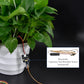DIY Automatic Watering Kit, Compatible with Arduino, Ideal for Maker Competitions, STEAM Education & Mixly Programming Learning Yieryi