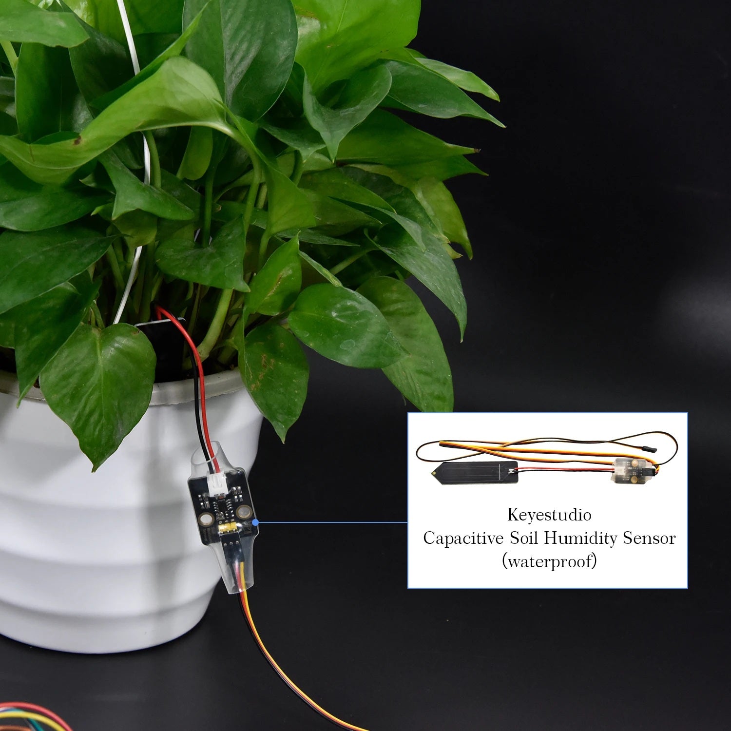 DIY Automatic Watering Kit, Compatible with Arduino, Ideal for Maker Competitions, STEAM Education & Mixly Programming Learning Yieryi