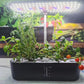 12-Pod Smart Hydroponic System | Full Spectrum LED Grow Light | Water Circulation | Fast Growing Fresh Herbs & Veggies | Indoor Gardening Solution