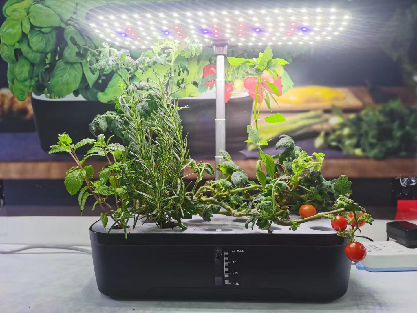 12-Pod Smart Hydroponic System | Full Spectrum LED Grow Light | Water Circulation | Fast Growing Fresh Herbs & Veggies | Indoor Gardening Solution