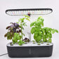 12-Pod Smart Hydroponic System | Full Spectrum LED Grow Light | Water Circulation | Fast Growing Fresh Herbs & Veggies | Indoor Gardening Solution