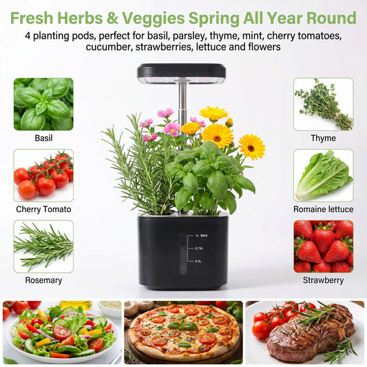 Mini 4‑Hole Hydroponic Grower, Soilless Indoor Vegetable Planter Yieryi