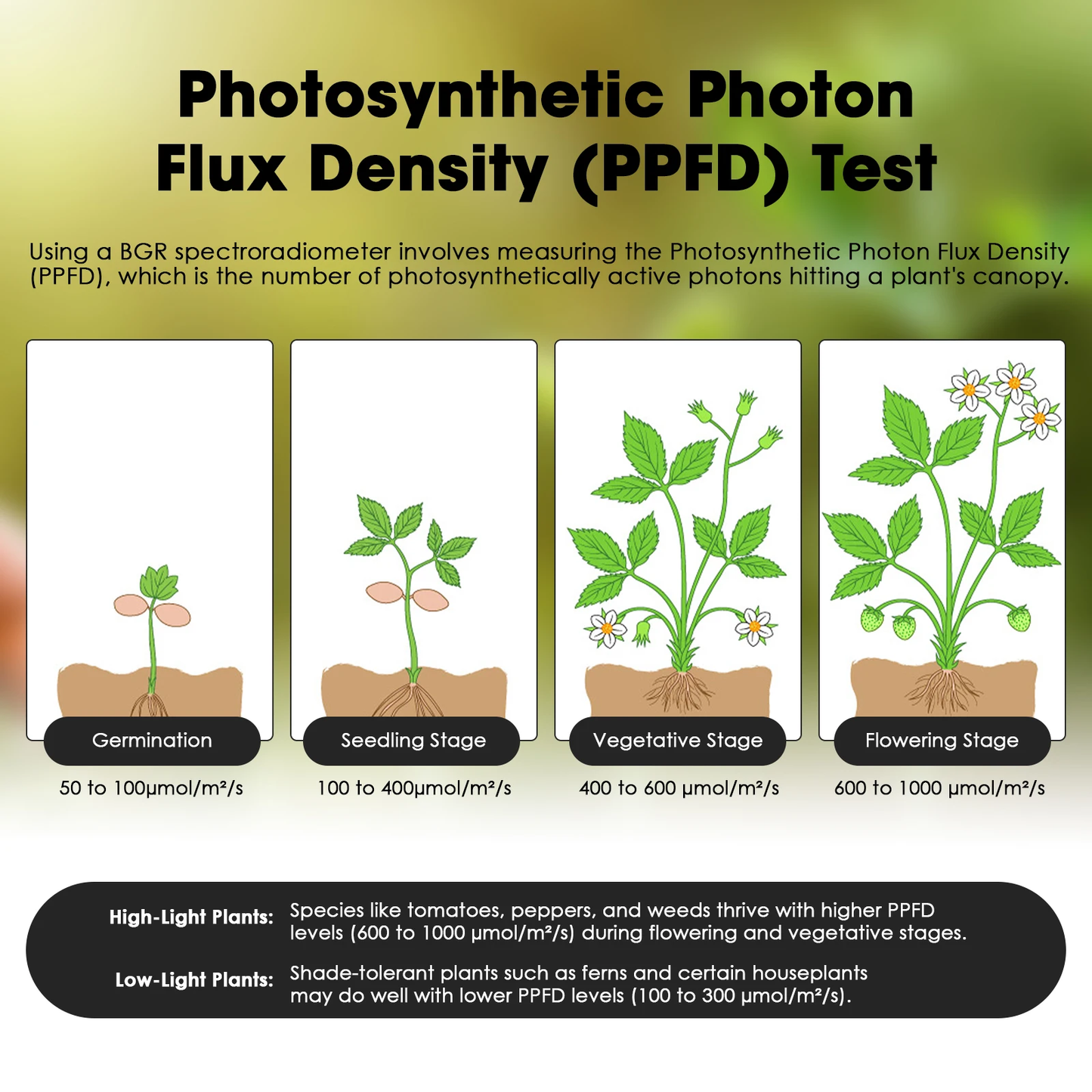 Photosynthetic PhotonFlux Density (PPFD) Test Yieryi