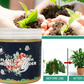 Plant Rooting & Growth Organic Powder - Universal Nutrient Powder for Tree & Fruit Tree Cuttings