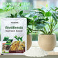 Plant Nutrient Boost Powder for Healthy Plants – All-Natural Plant Food